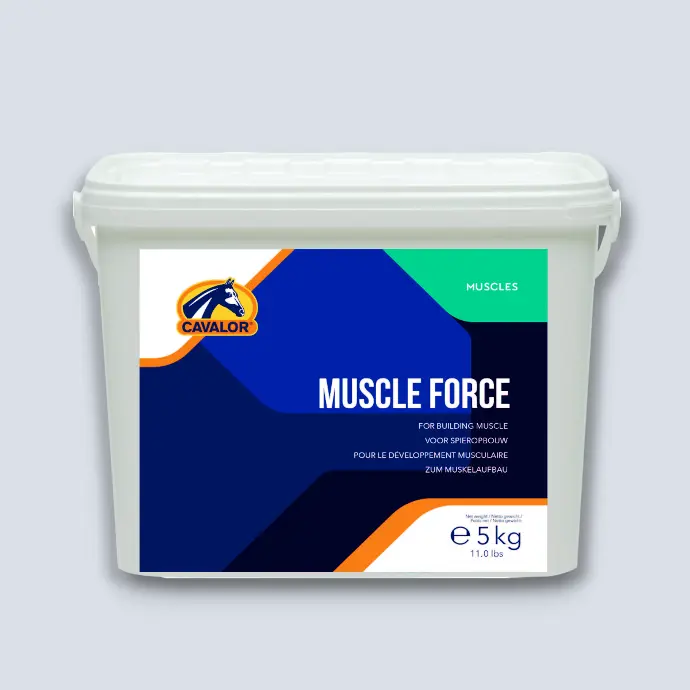 Muscle Force