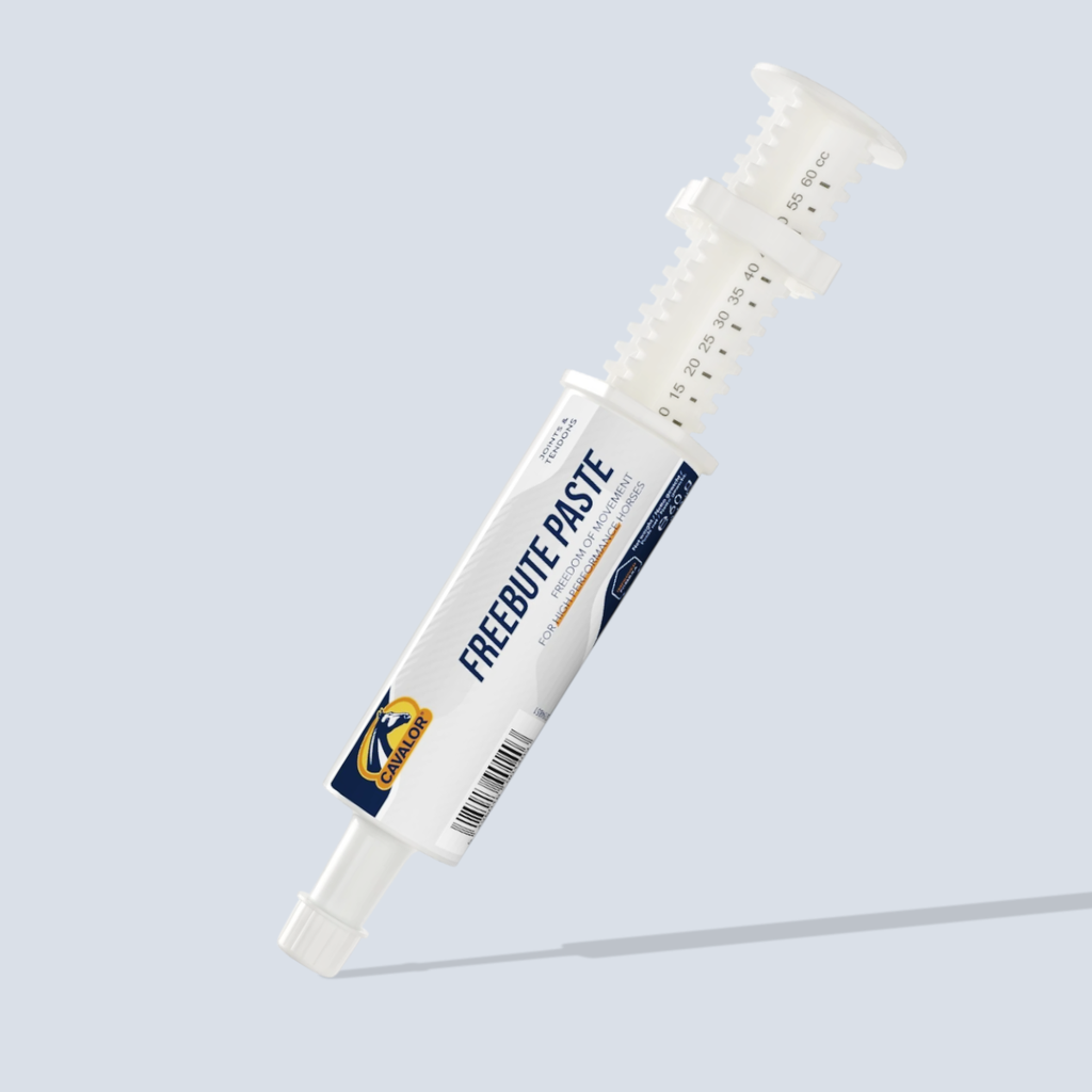 FreeBute PASTE 