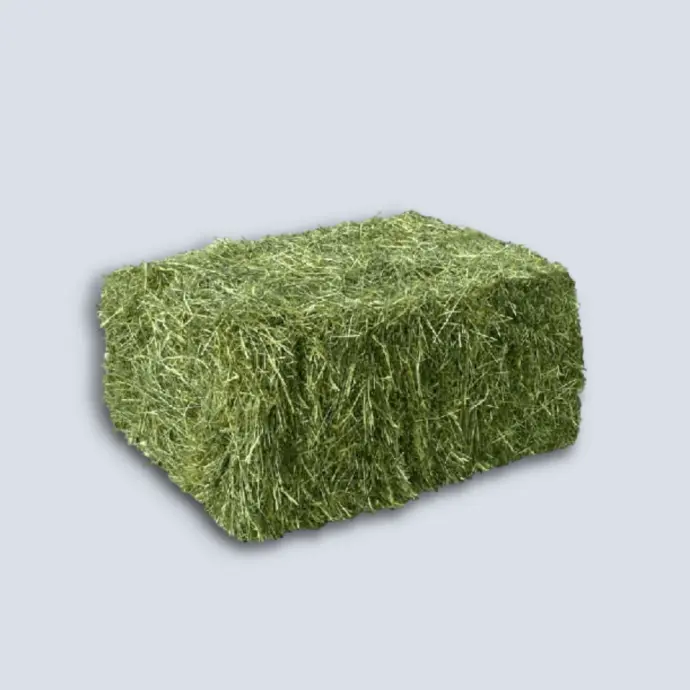 Pacas de pasto Chica 