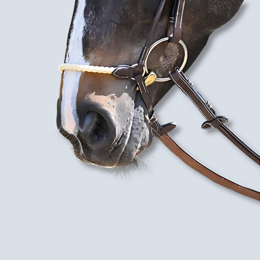 Drop Noseband S.S Buckles 