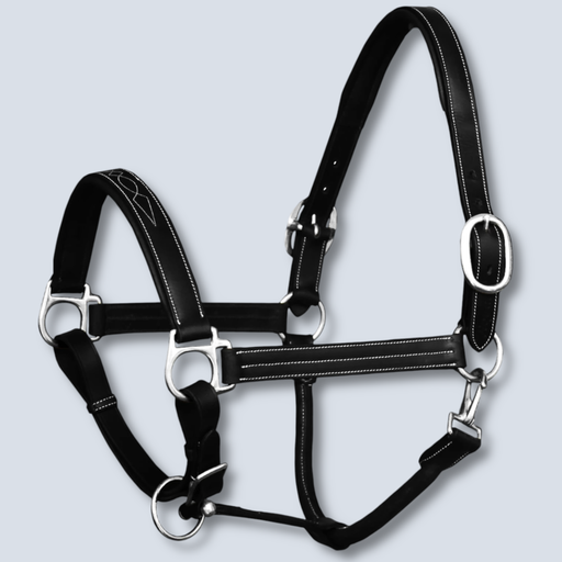 Halter Nickle Buckles 