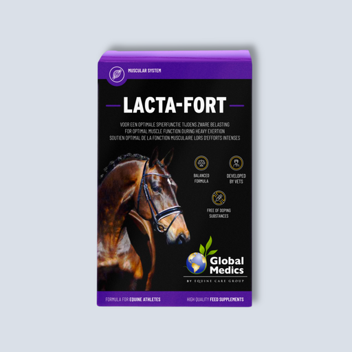 Lacta Fort