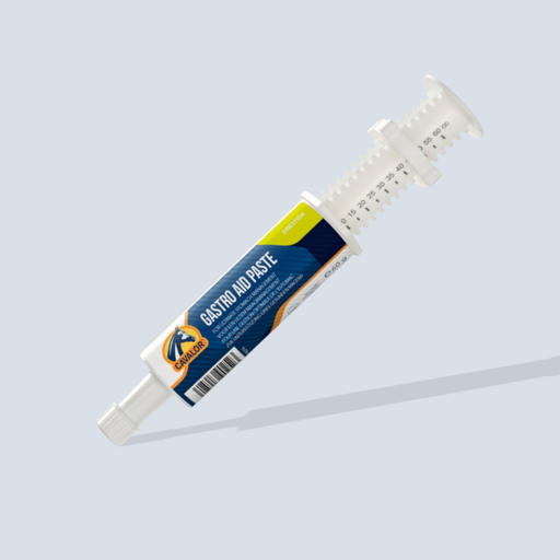 Gastro aid paste