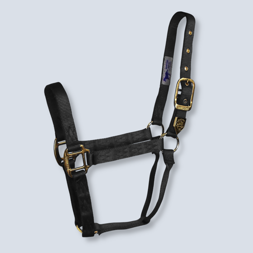 Hamilton Halter