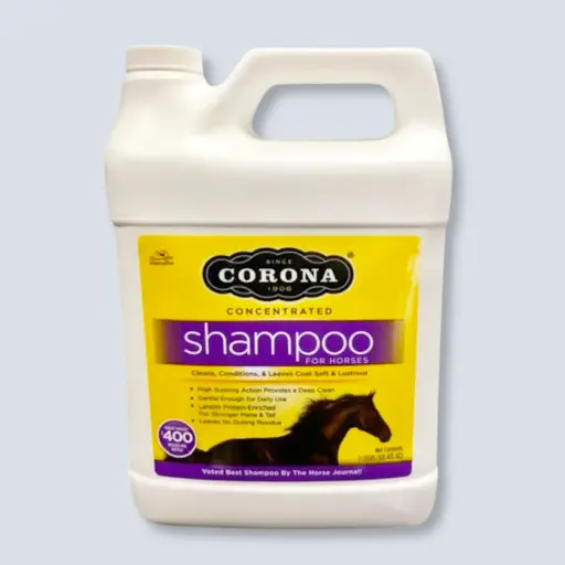 Shampoo For Horse Corona