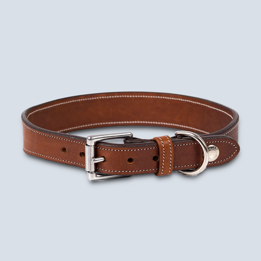 Collier Pour Chien Cuir 